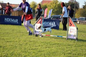 obuka pasa osijek kop baranja anita steter