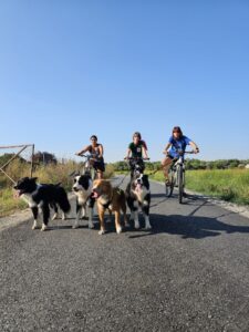 obuka pasa osijek kop baranja ellany ipsa katja bokun sara bartanic